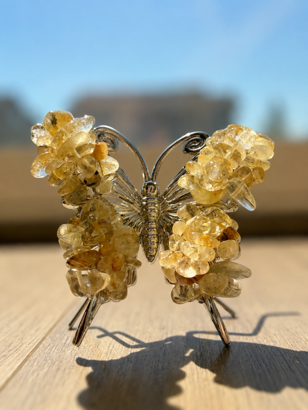 Citrine Chip butterfly