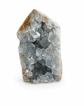 Celestite Point Cluster – 336g | Approx. 8cm Tall
