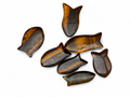 Tiger’s Eye Fish Carving